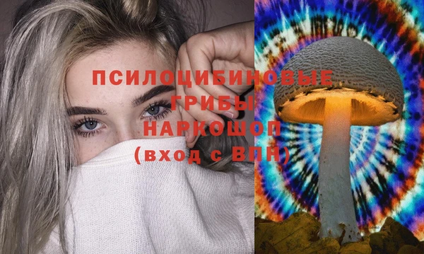 дмт Володарск